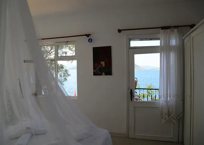 Pembe Yunus * Bozburun