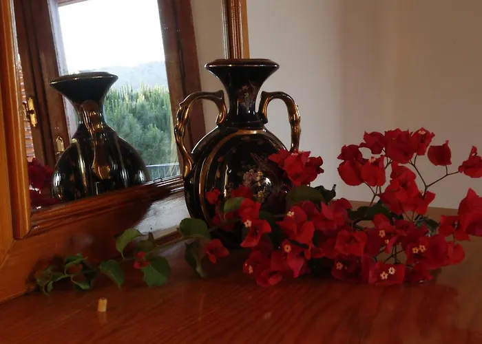 Hotel Pembe Yunus Bozburun