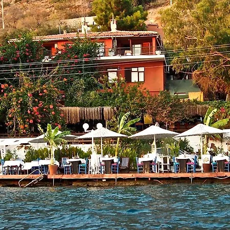 Pembe Yunus * Bozburun